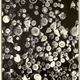 Illustration for article titled 110 Years Ago, These Microscopic Photos Horrified Londoners